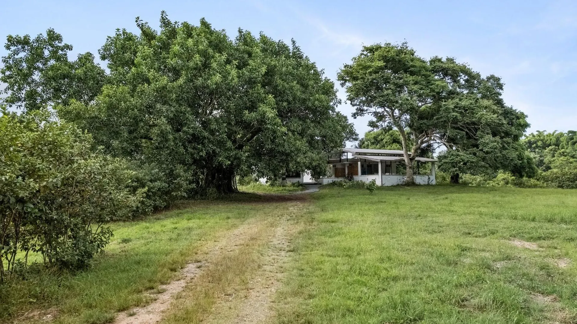 Casa Algarrobo Relaxing Farm Stay In Puerto Rico Ciales 0*,