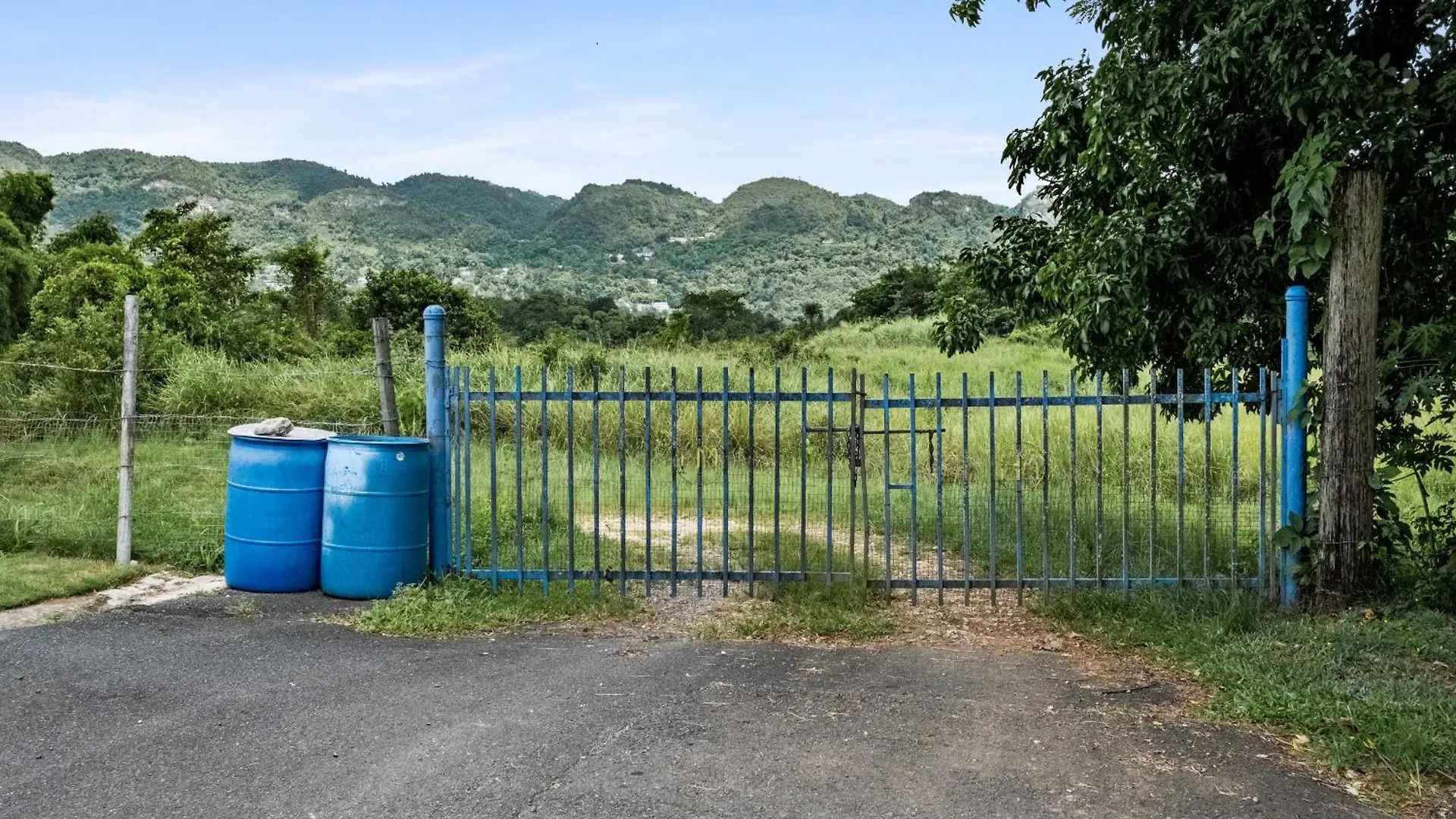 Casa Algarrobo Relaxing Farm Stay In Puerto Rico Ciales