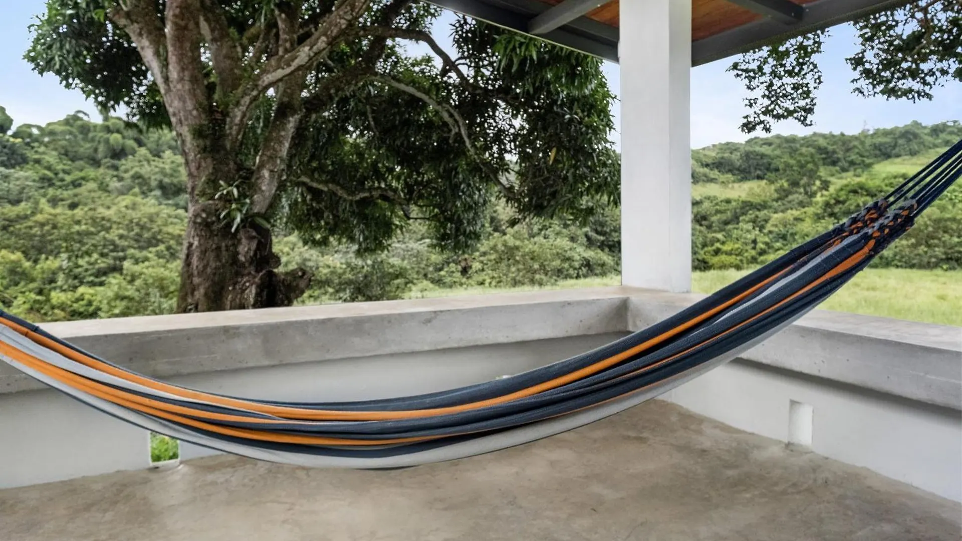Casa Algarrobo Relaxing Farm Stay In Puerto Rico Ciales Puerto Rico