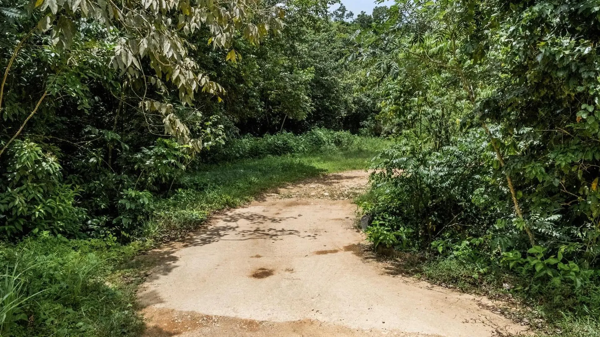 Holiday home Casa Algarrobo Relaxing Farm Stay In Puerto Rico Ciales Puerto Rico