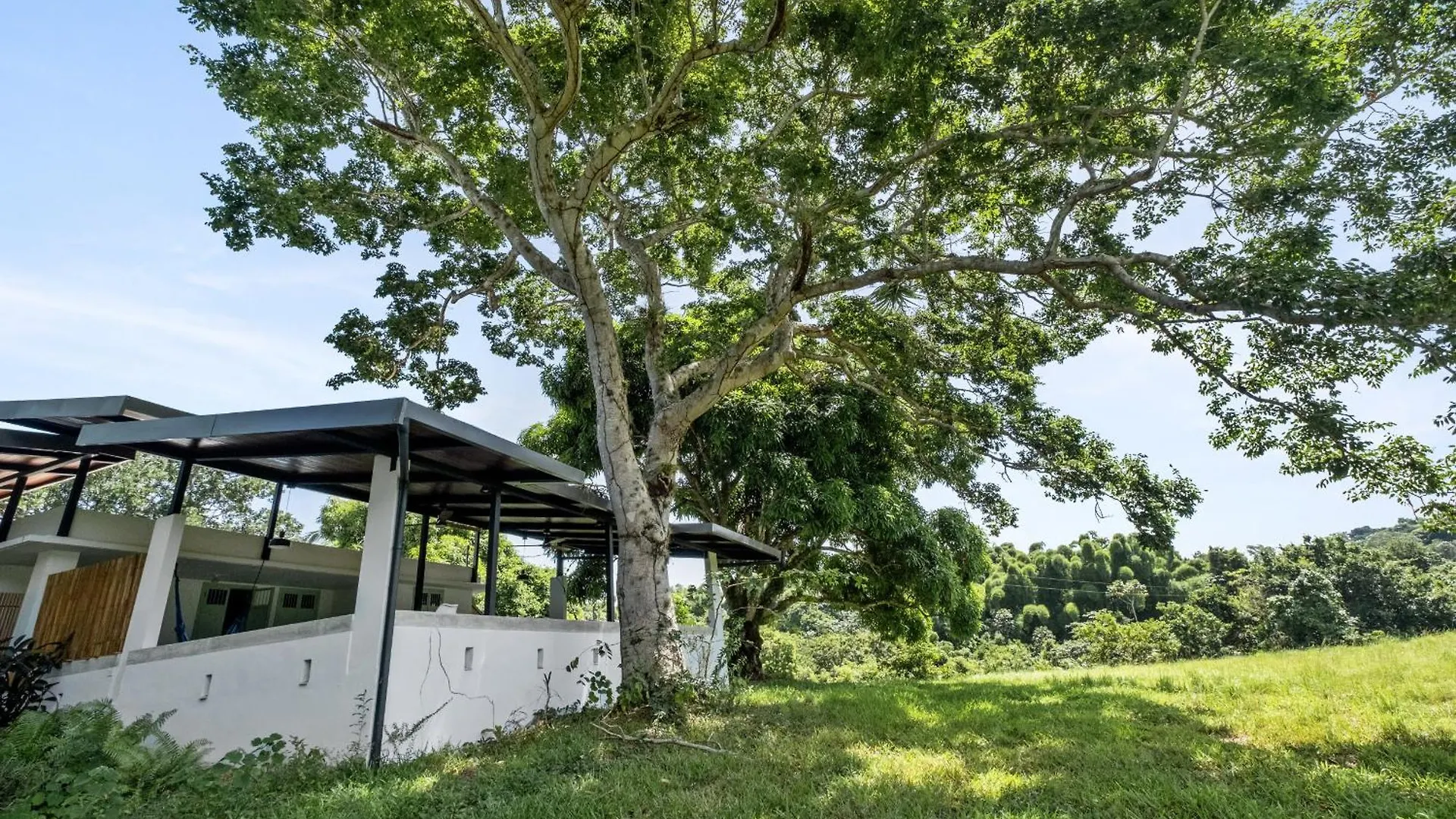 Casa Algarrobo Relaxing Farm Stay In Puerto Rico Ciales 0*,  Puerto Rico
