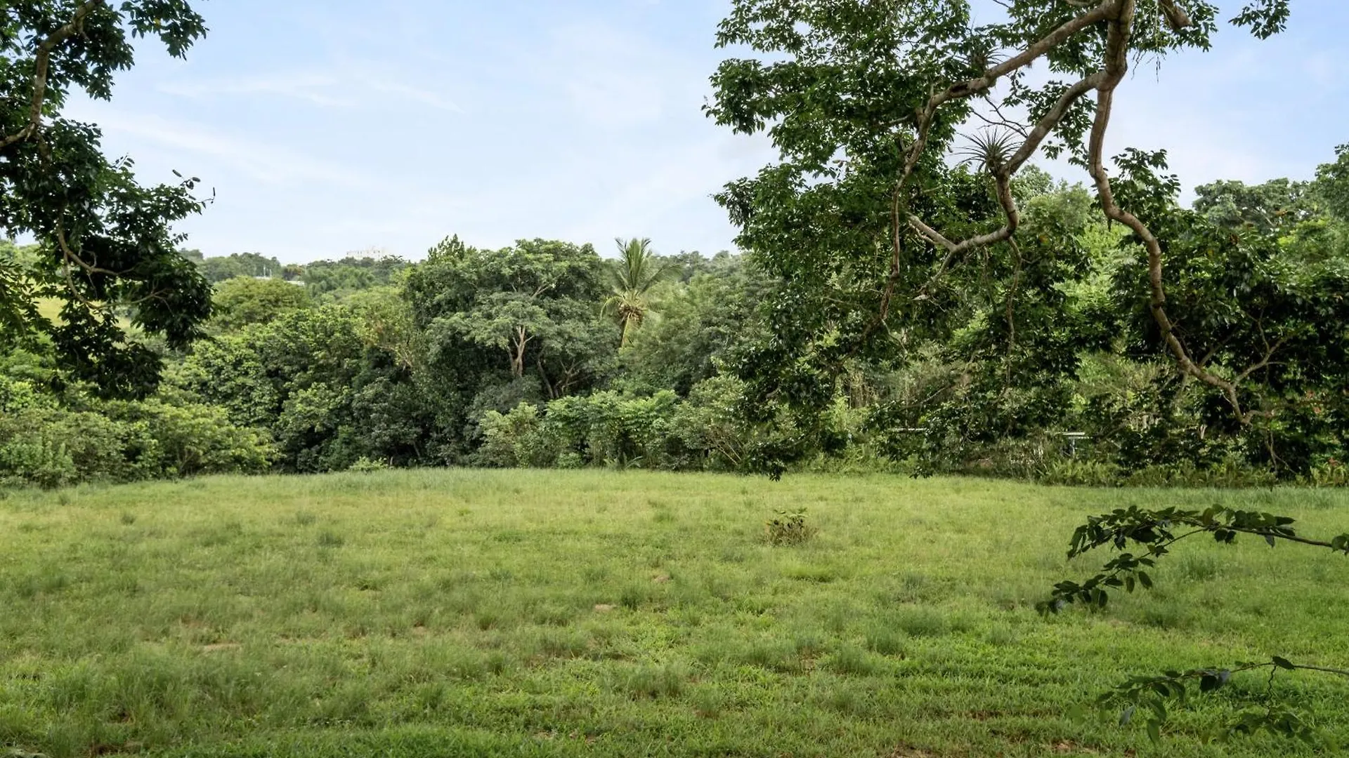 Casa Algarrobo Relaxing Farm Stay In Puerto Rico Ciales Holiday home
